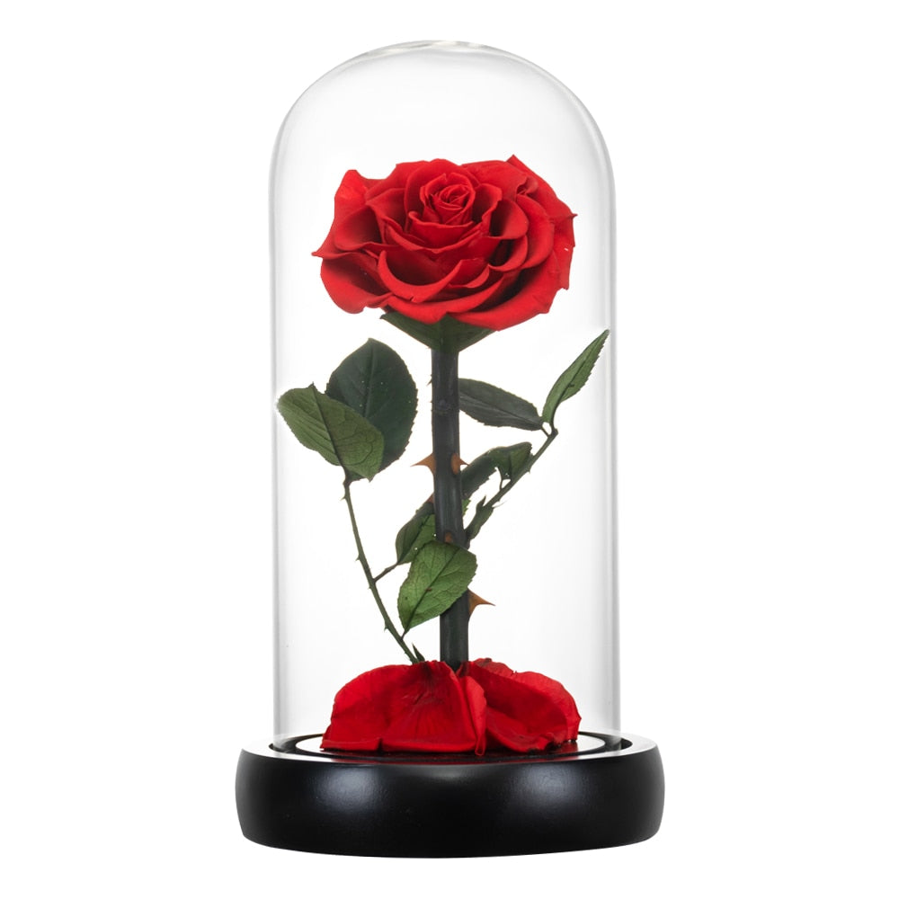 Eternal Preserved Roses In Glass