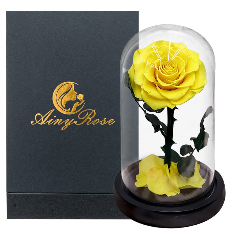 Eternal Preserved Roses In Glass