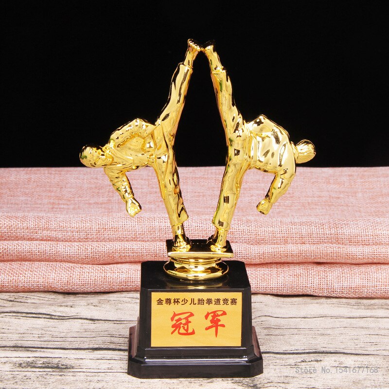 Customised Martial Arts Taekwondo Trophy