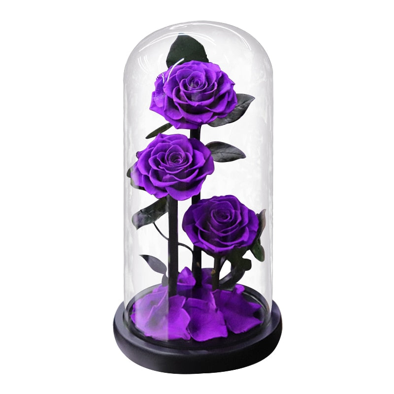 Eternal Preserved Roses In Glass