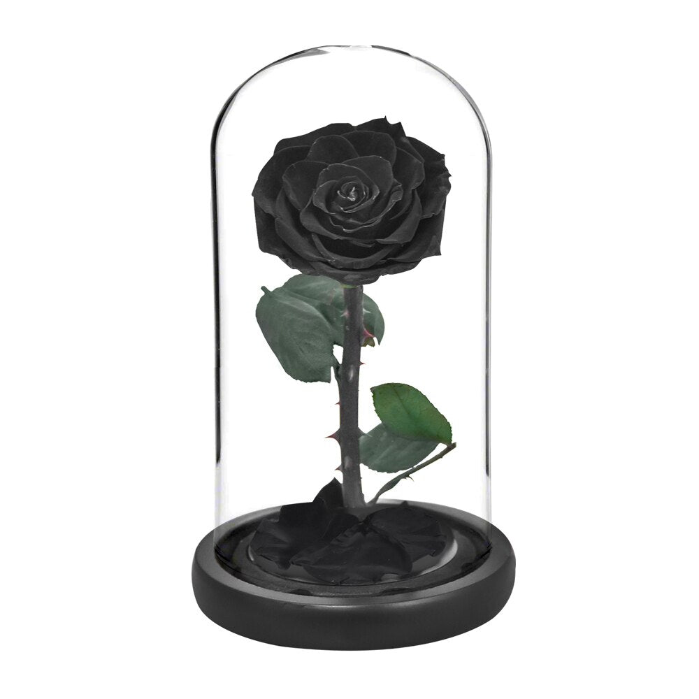 Eternal Preserved Roses In Glass