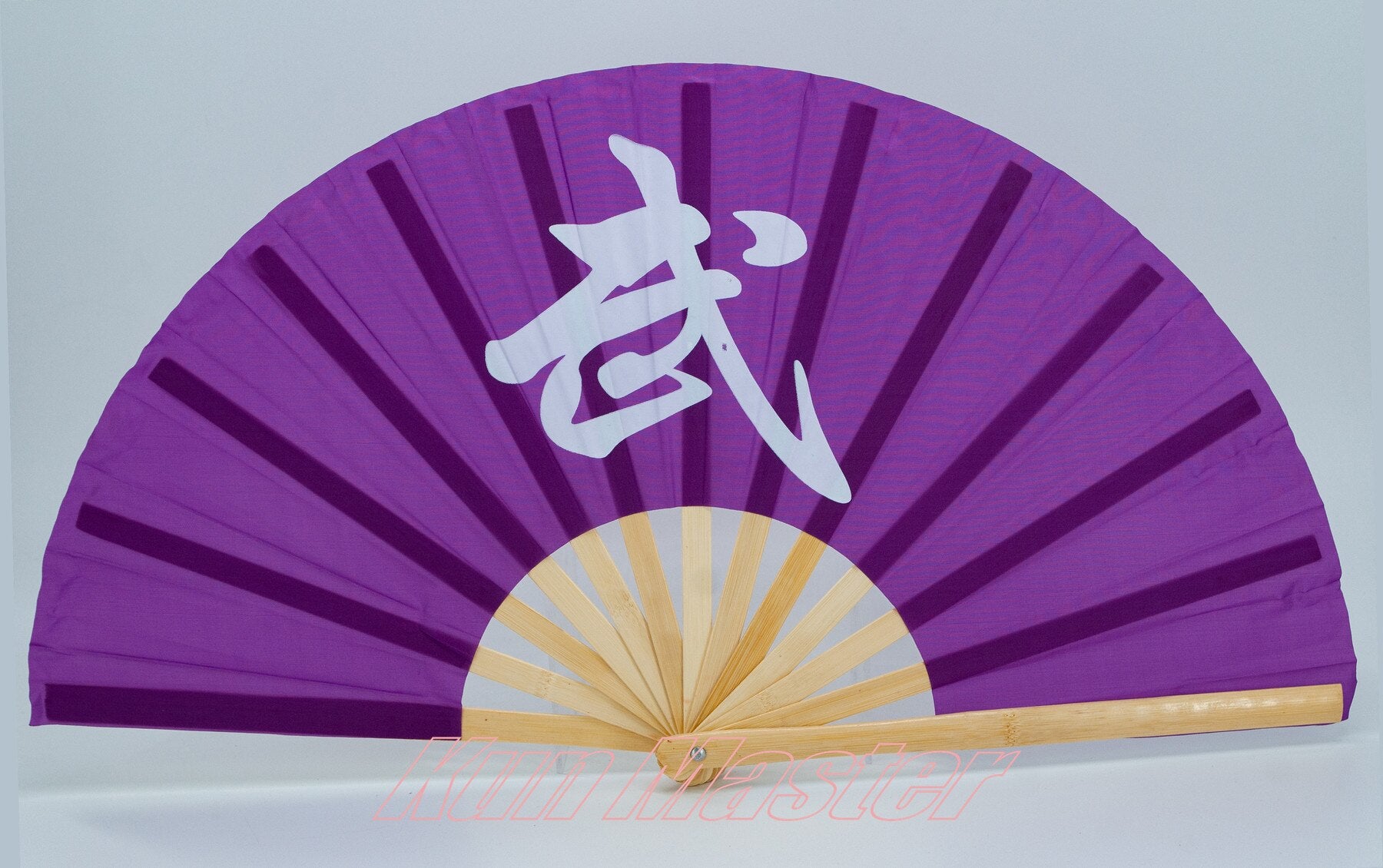 Bamboo Plastic Kung Fu Tai Chi Fan