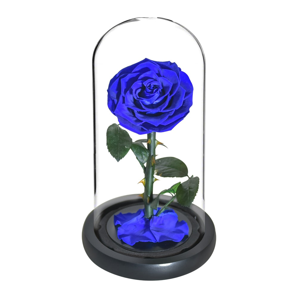 Eternal Preserved Roses In Glass