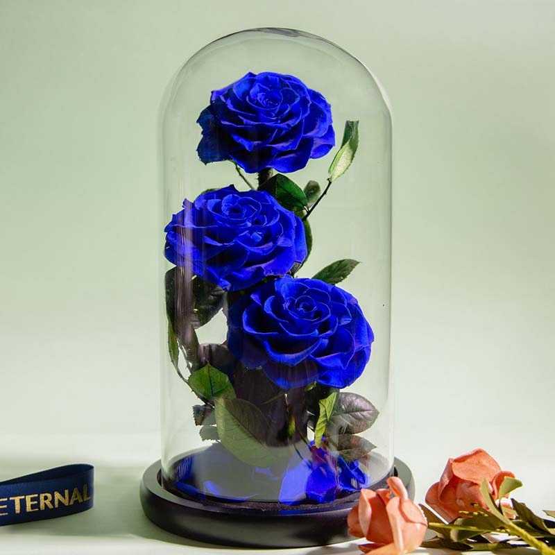 Eternal Preserved Roses In Glass