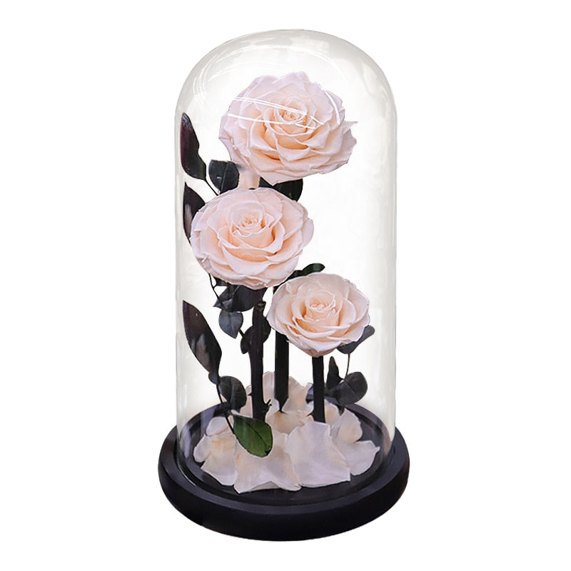 Eternal Preserved Roses In Glass