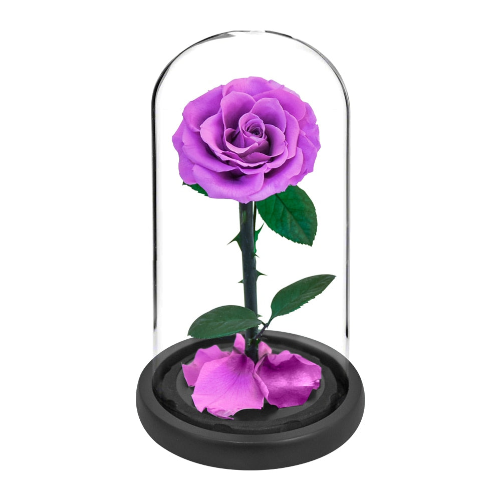 Eternal Preserved Roses In Glass