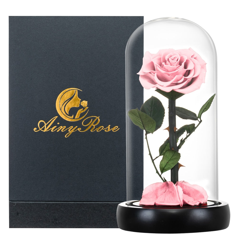 Eternal Preserved Roses In Glass