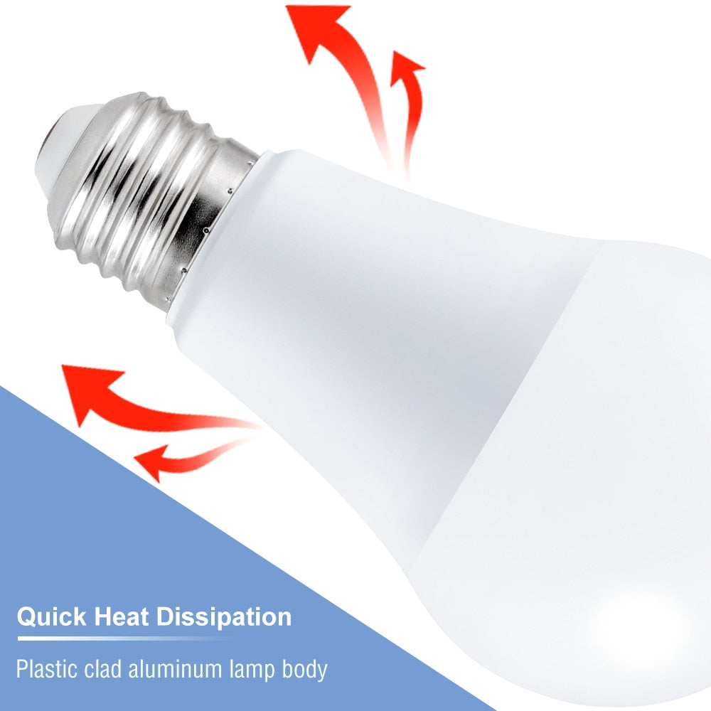 Smart Control Led Light Bulb