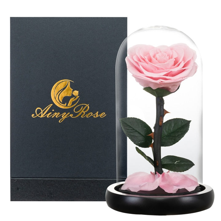 Eternal Preserved Roses In Glass