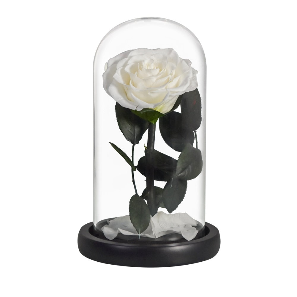 Eternal Preserved Roses In Glass