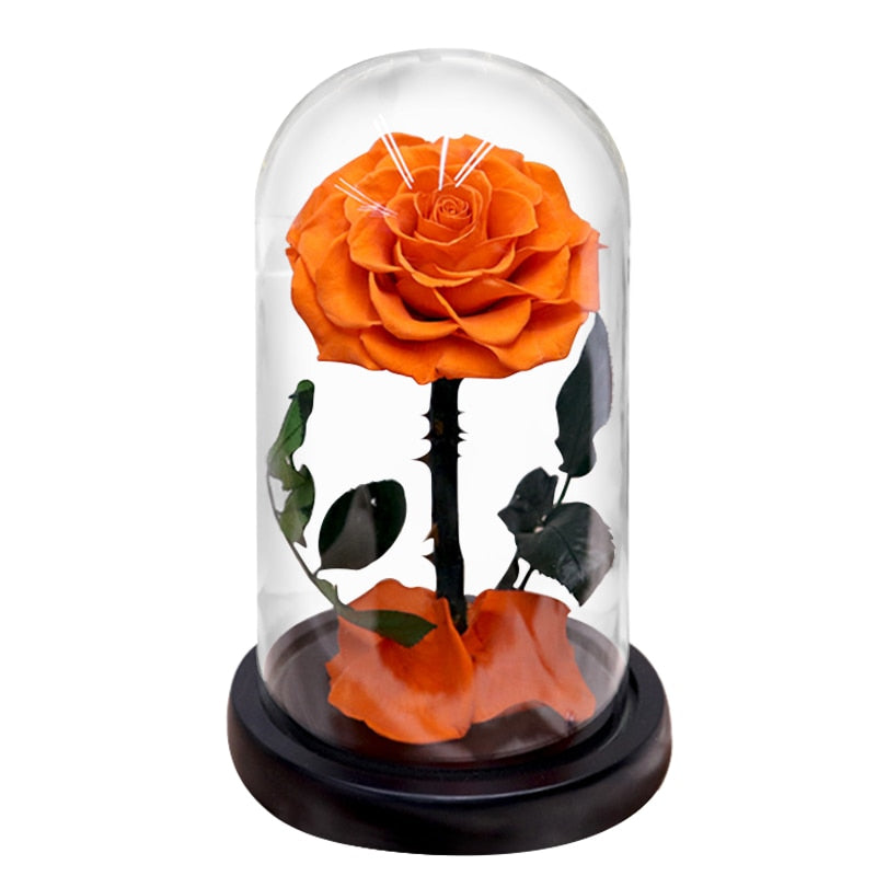 Eternal Preserved Roses In Glass