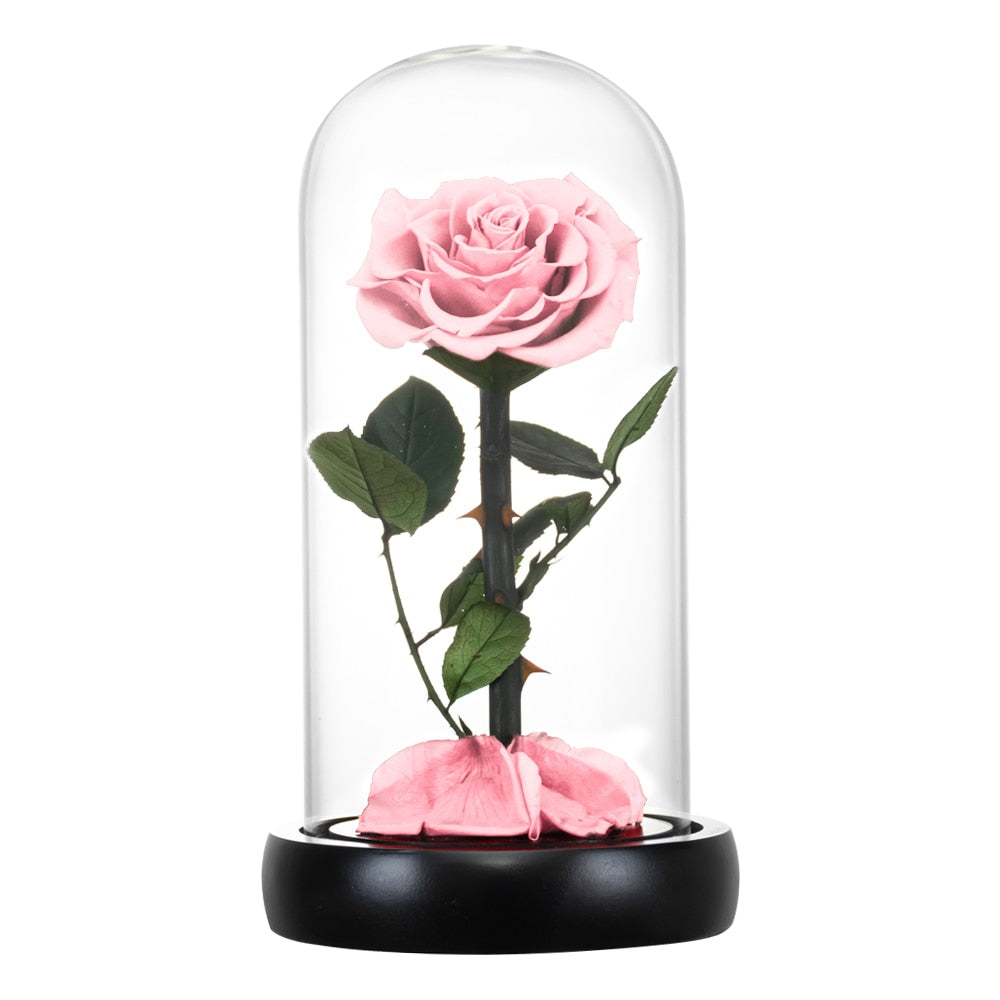 Eternal Preserved Roses In Glass