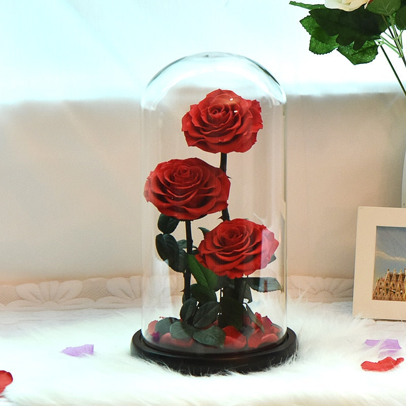 Eternal Preserved Roses In Glass