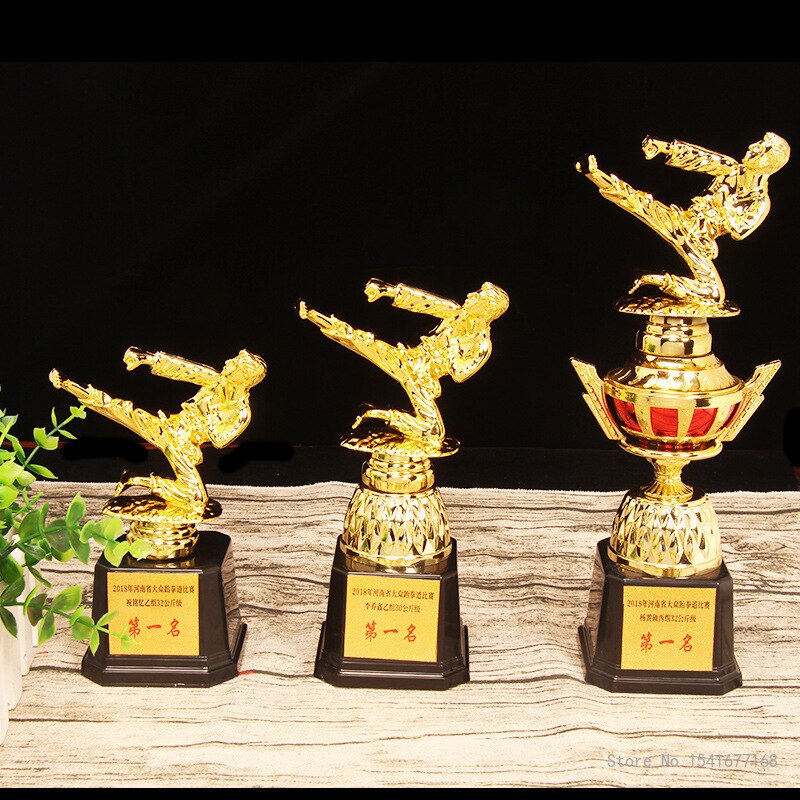 Customised Martial Arts Taekwondo Trophy