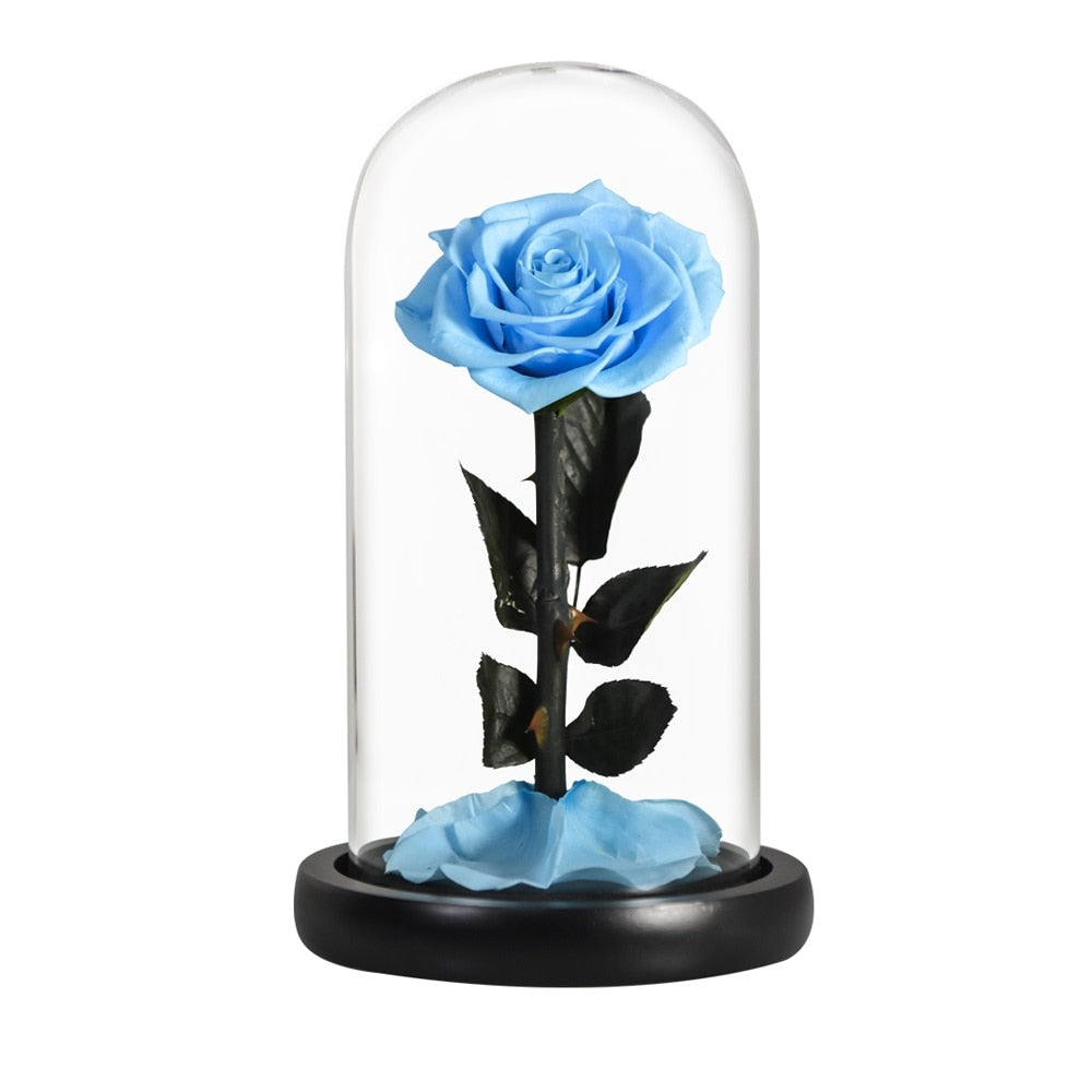 Eternal Preserved Roses In Glass