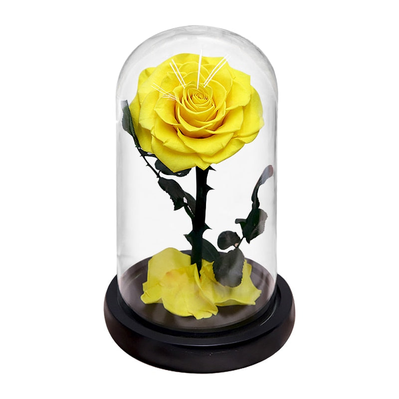 Eternal Preserved Roses In Glass