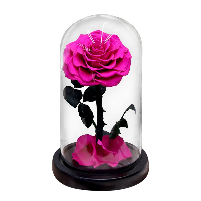 Eternal Preserved Roses In Glass