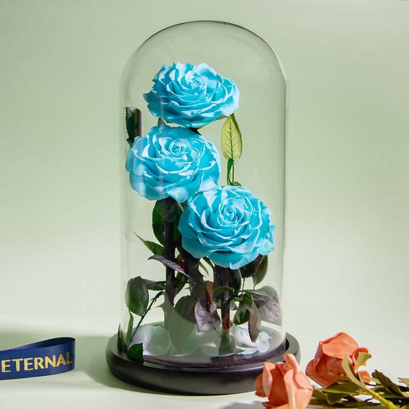 Pretty Eternal Roses Eternal Preserved Roses In Glass, For Life Rose