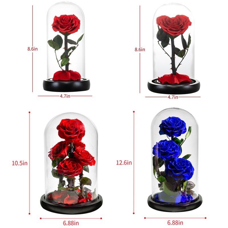 Eternal Preserved Roses In Glass