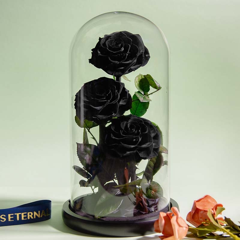 Eternal Preserved Roses In Glass