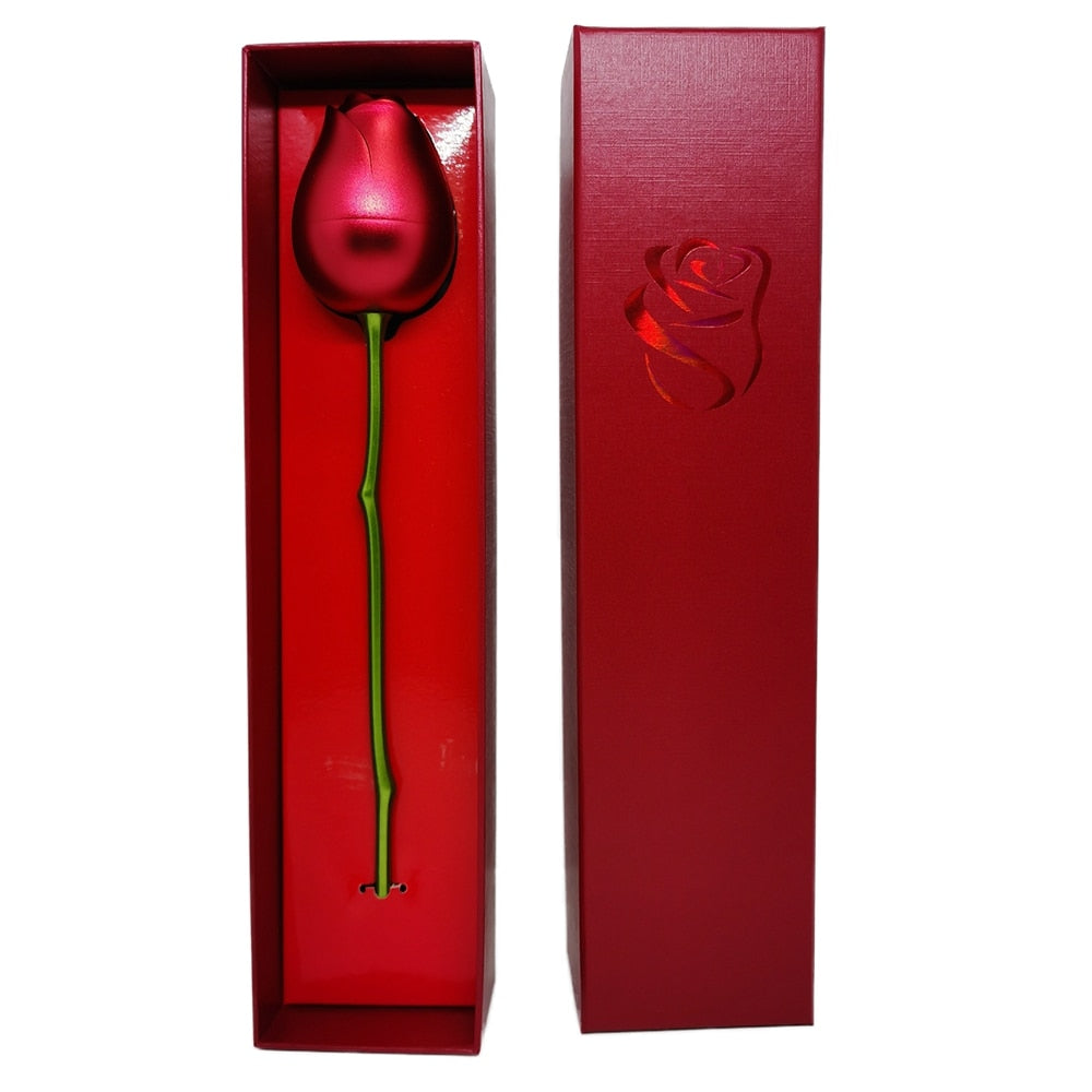 Rose Holder Eternal Love Necklace Set