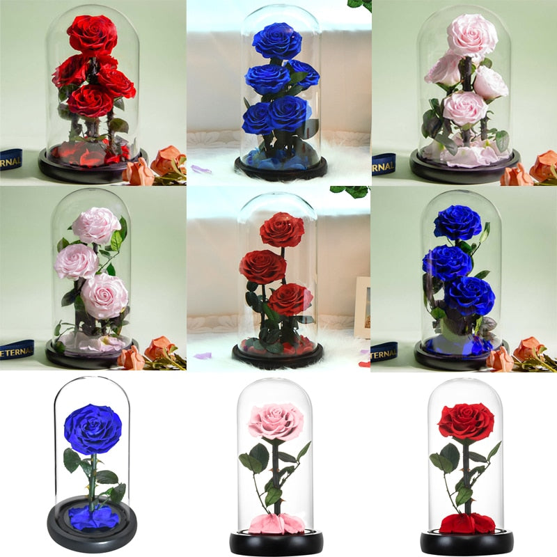 Eternal Preserved Roses In Glass