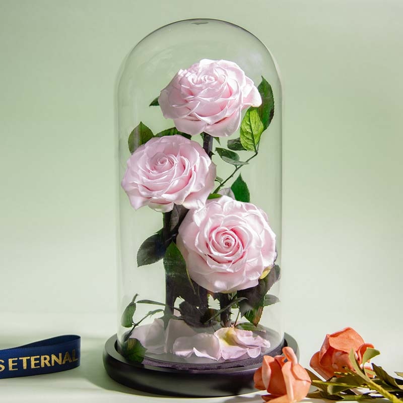 Eternal Preserved Roses In Glass