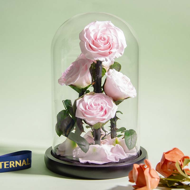 Eternal Preserved Roses In Glass